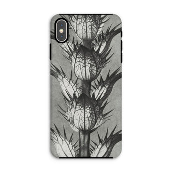Acanthus Mollis (bear’s Breeches) - Karl Blossfeldt Phone Case Iphone Xs Max / Matte Thistle-patterned Phone Case Karl Blossfeldt, Bear’s