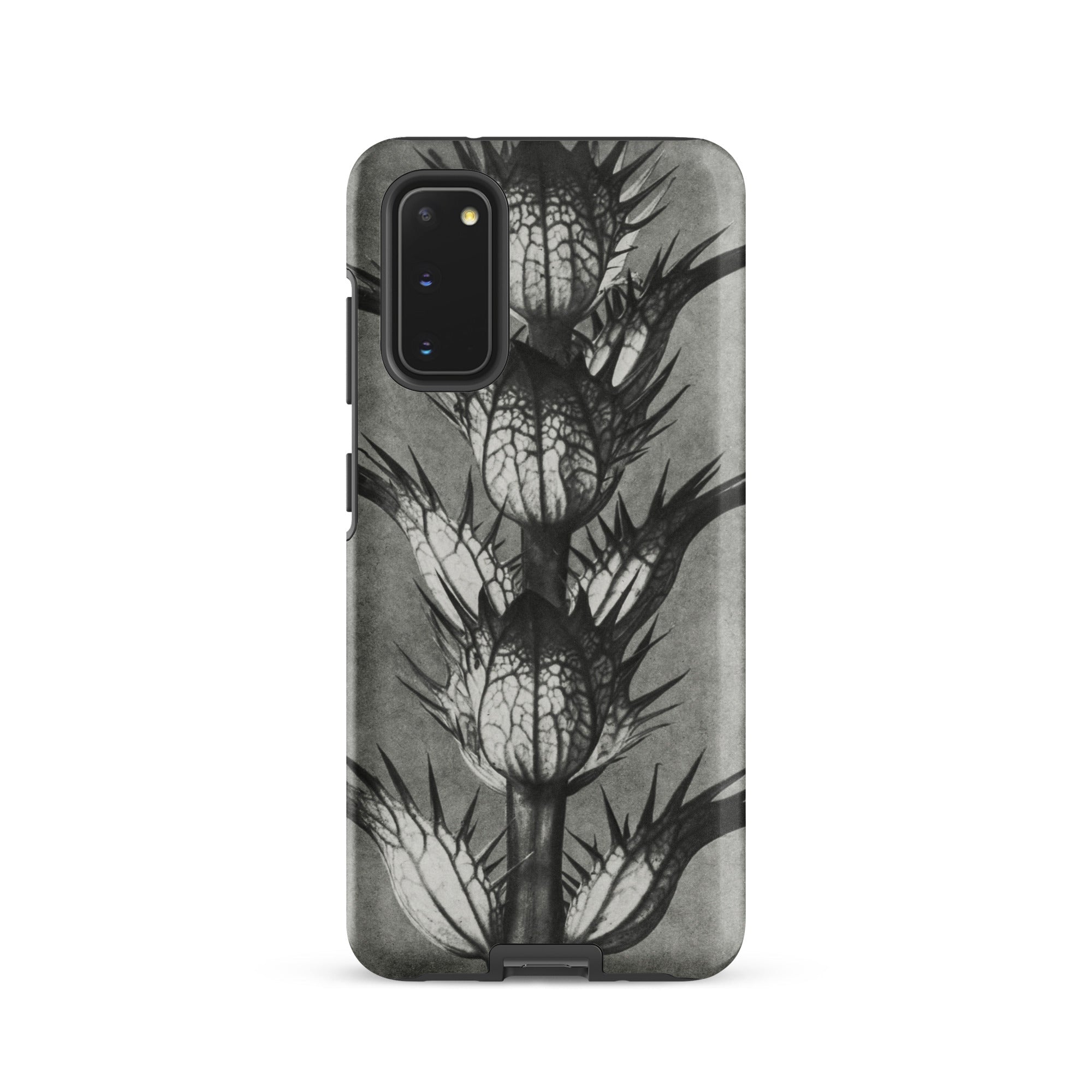 Acanthus Mollis (bear’s Breeches) Karl Blossfeldt Samsung Case, Galaxy S20 / Matte, Black White Thorn Plant Design Smartphone Case