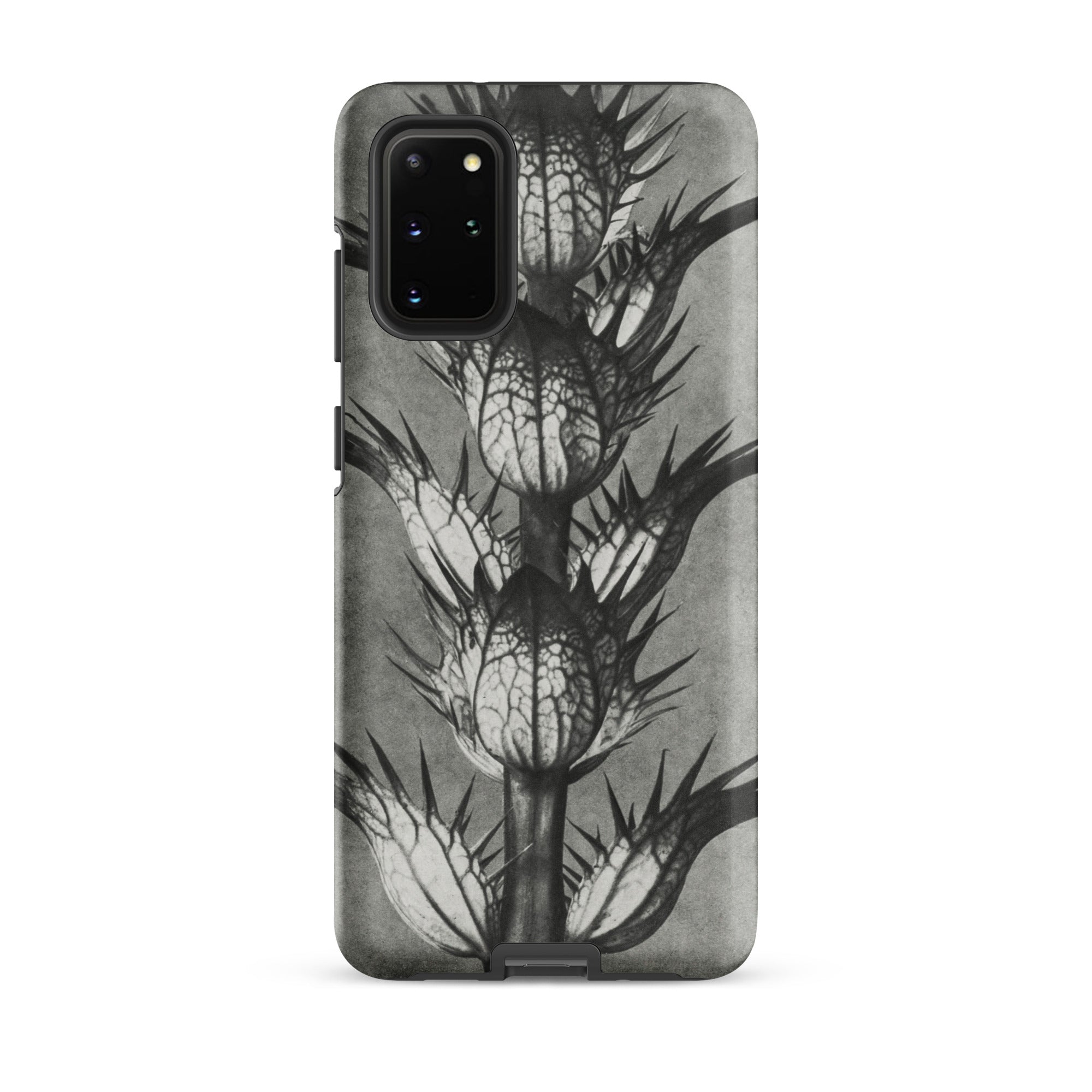 Acanthus Mollis (bear’s Breeches) Karl Blossfeldt Samsung Case, Galaxy S20 Plus / Matte, Smartphone Case Black White Illustration Spiky