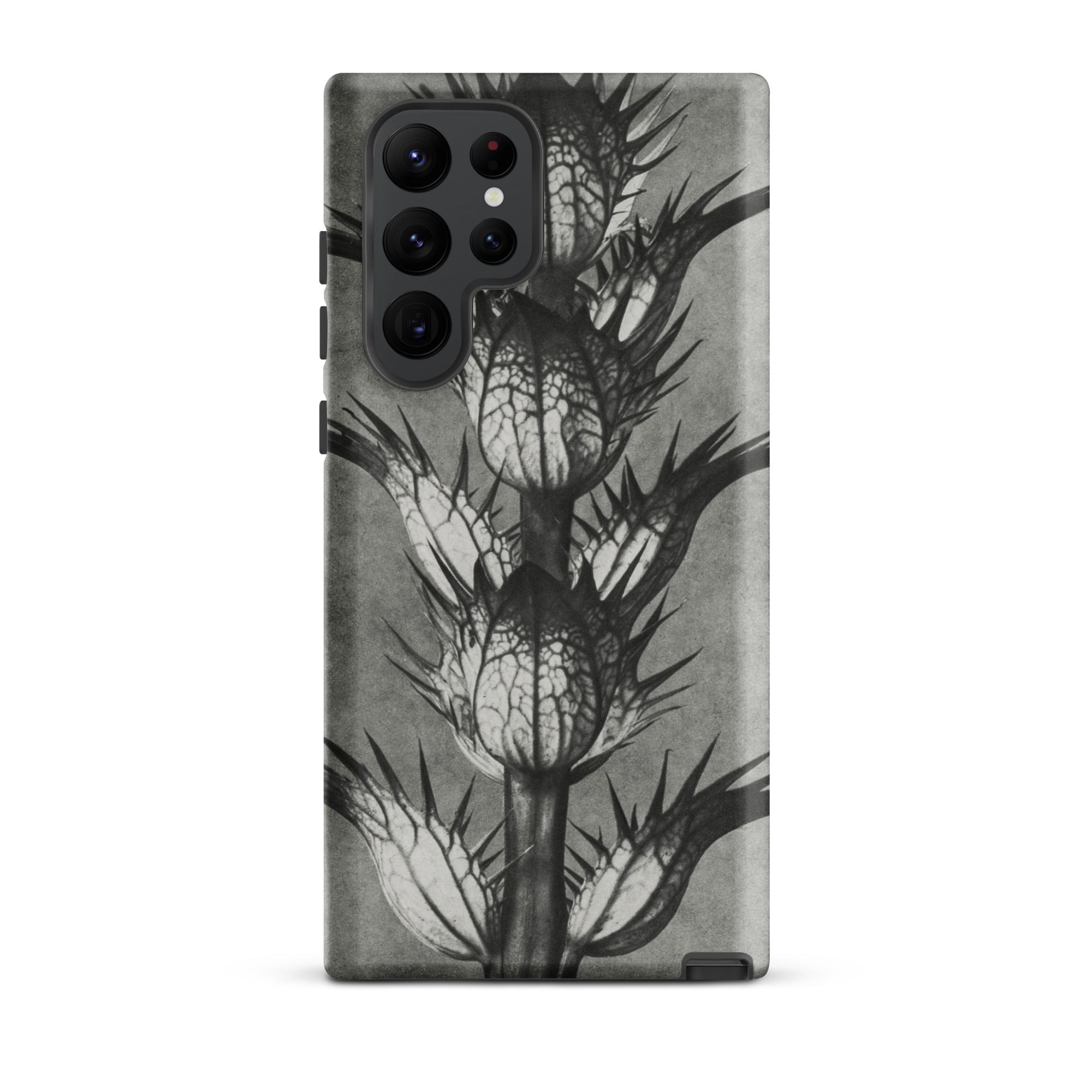 Acanthus Mollis (bear’s Breeches) Karl Blossfeldt Samsung Case, Galaxy S22 Ultra / Matte, Black White Thistle Plant Design Smartphone Case