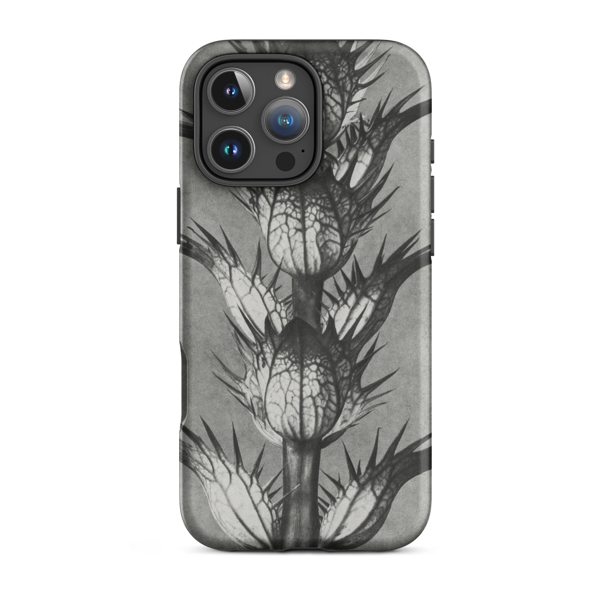 Acanthus Mollis (bear’s Breeches) by Karl Blossfeldt Tough Phone Case, Iphone 16 Pro Max / Matte, Gray Iphone Case Thorny Plant Design