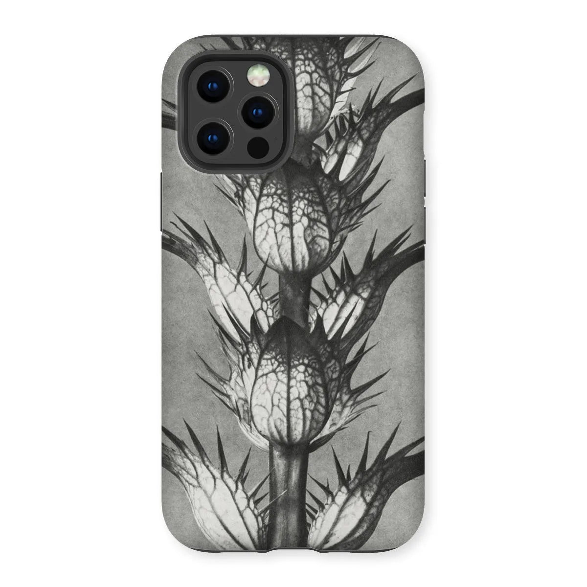 Acanthus Mollis (bear’s Breeches) By Karl Blossfeldt Tough Phone Case - Iphone 12 Pro / Matte - Mobile Phone Cases