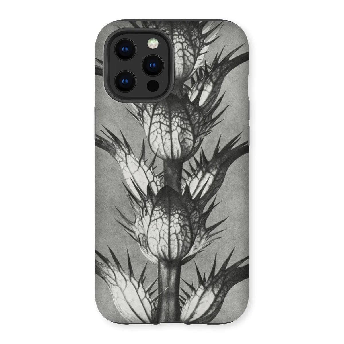 Acanthus Mollis (bear’s Breeches) By Karl Blossfeldt Tough Phone Case - Iphone 12 Pro Max / Matte - Aesthetic Art
