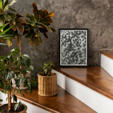 Achillea Millefolium (common Yarrow) - Karl Blossfeldt Art Print, 12x16’’ / 31x41cm / Unframed, Framed Black White Abstract Artwork Pattern