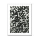 Achillea Millefolium (common Yarrow) - Karl Blossfeldt Art Print Posters Prints & Visual Artwork