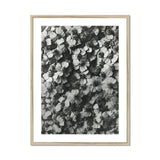 Achillea Millefolium (common Yarrow) - Karl Blossfeldt Art Print, Black White Photograph Densely Clustered Hydrangea Flowers