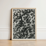 Black White Framed Photograph Densely Packed Textured Flowers Karl Blossfeldt, Achillea Millefolium, Monochromatic Tapestry