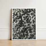 Black-and-white Framed Photograph Densely Packed Flowers Textured Monochromatic Karl Blossfeldt, Achillea Millefolium, Tapestry