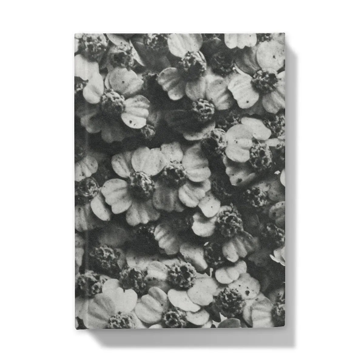 Achillea Millefolium (common Yarrow) - Karl Blossfeldt Hardback Journal - 5’x7’ / Lined - Notebooks & Notepads