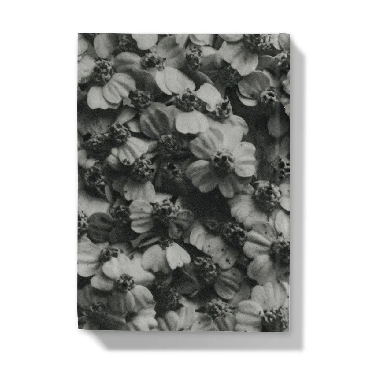 Achillea Millefolium (common Yarrow) By Karl Blossfeldt Hardback Journal - Notebooks & Notepads - Aesthetic Art