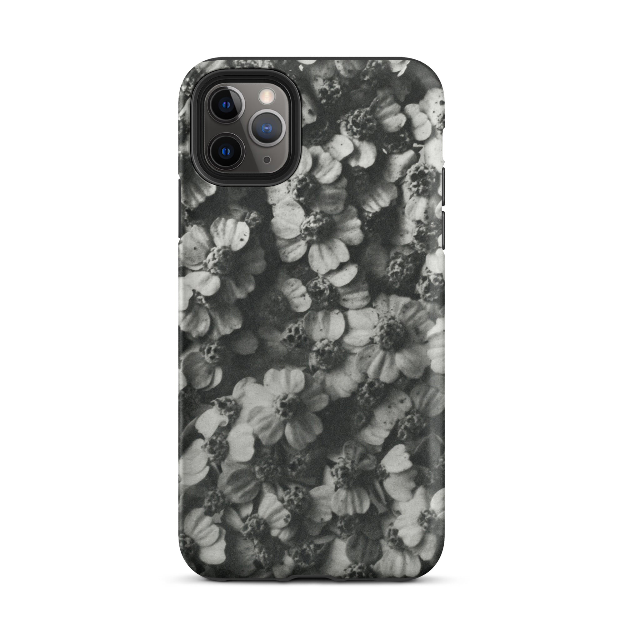 Achillea Millefolium (common Yarrow) Karl Blossfeldt Iphone Case, 11 Pro Max / Matte, Floral Patterned Phone Case