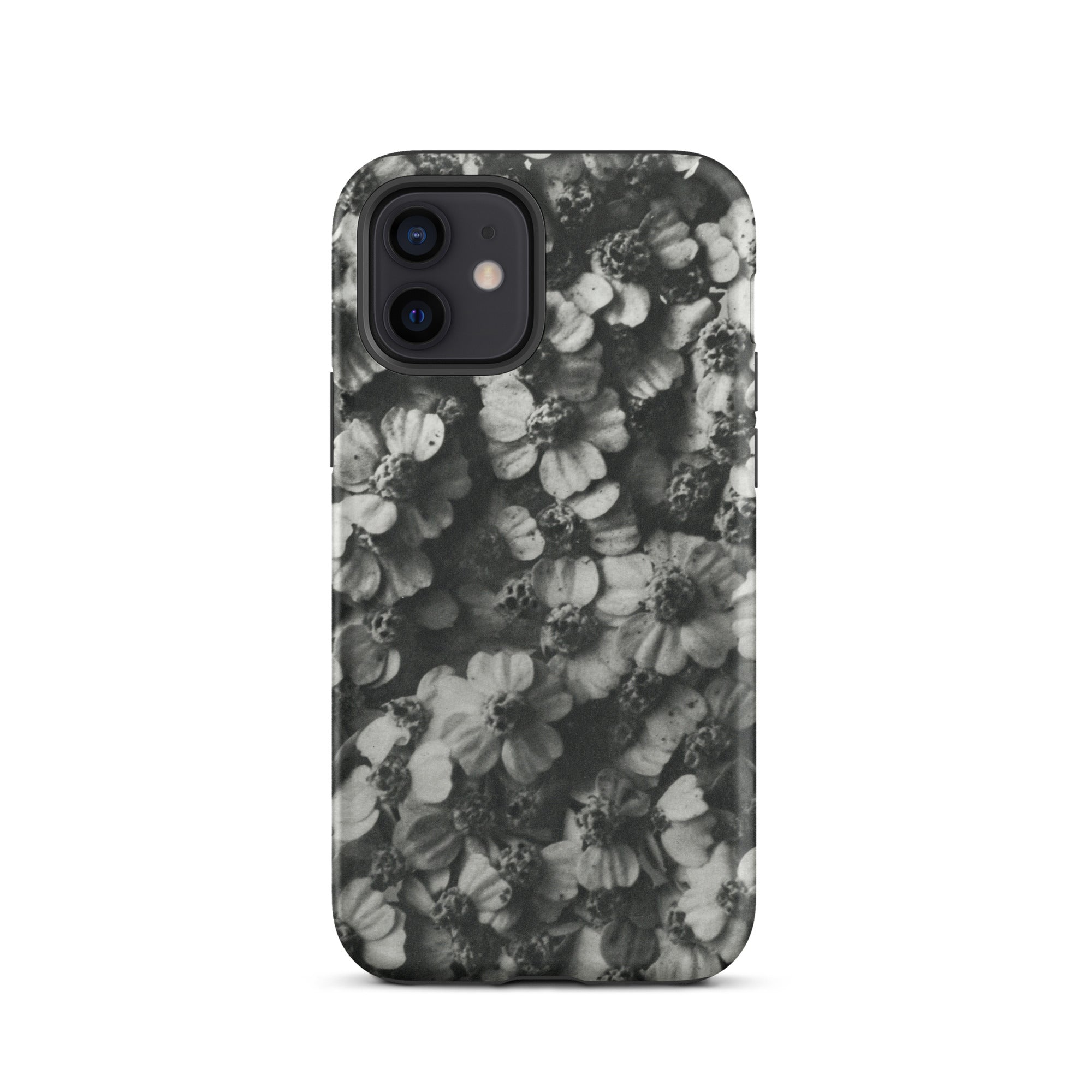Achillea Millefolium (common Yarrow) Karl Blossfeldt Iphone Case, 12 / Matte, Black White Floral Phone Case
