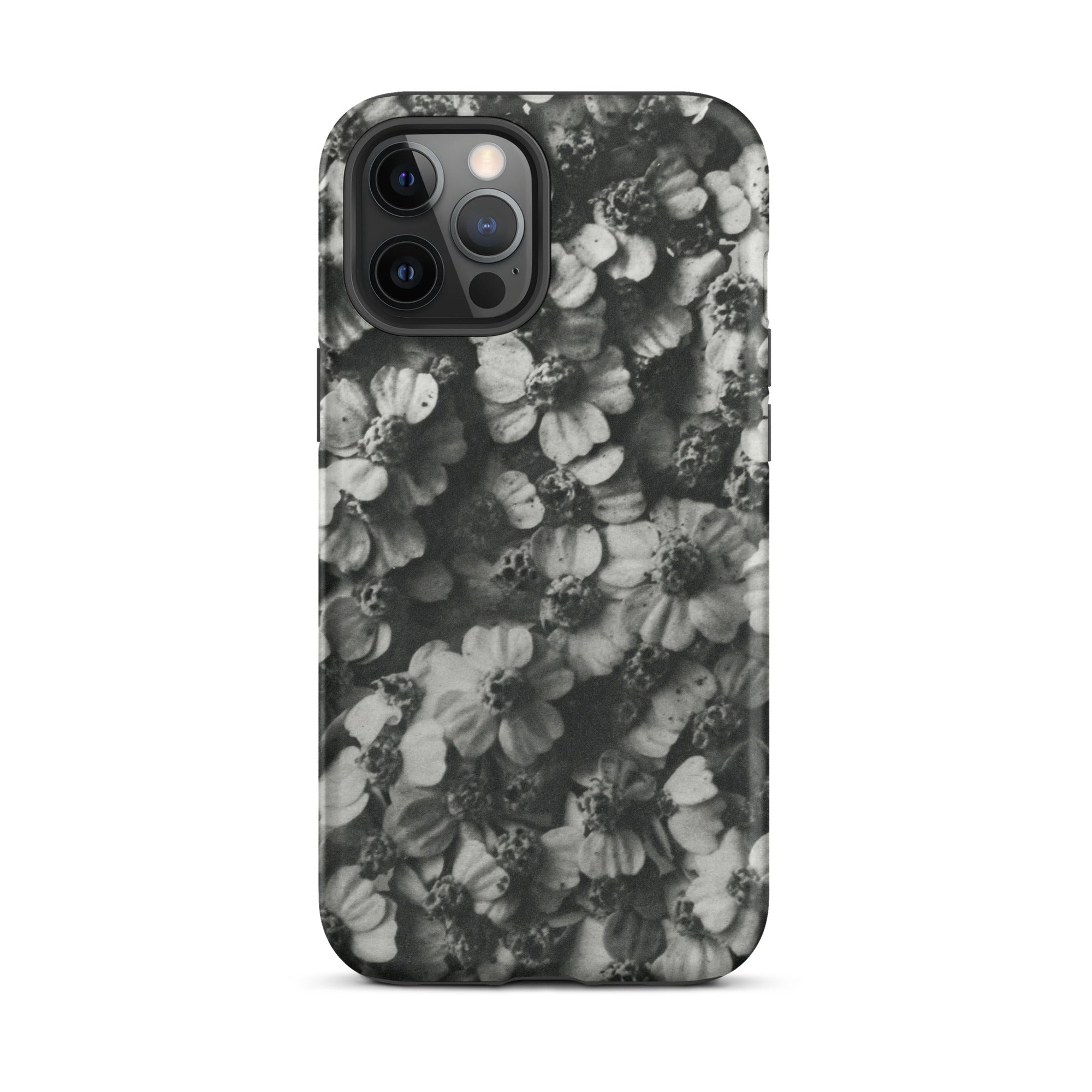 Achillea Millefolium (common Yarrow) Karl Blossfeldt Iphone Case, 12 Pro Max / Matte, Floral Patterned Phone Case