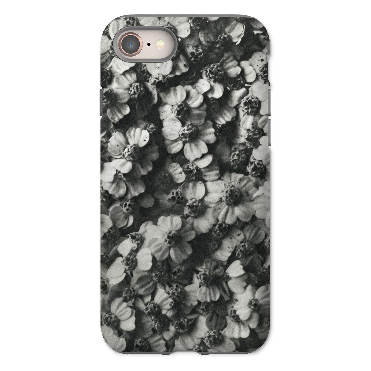 Achillea Millefolium (common Yarrow) Karl Blossfeldt Iphone Case, 8 / Matte, Phone Case Black White Floral Pattern