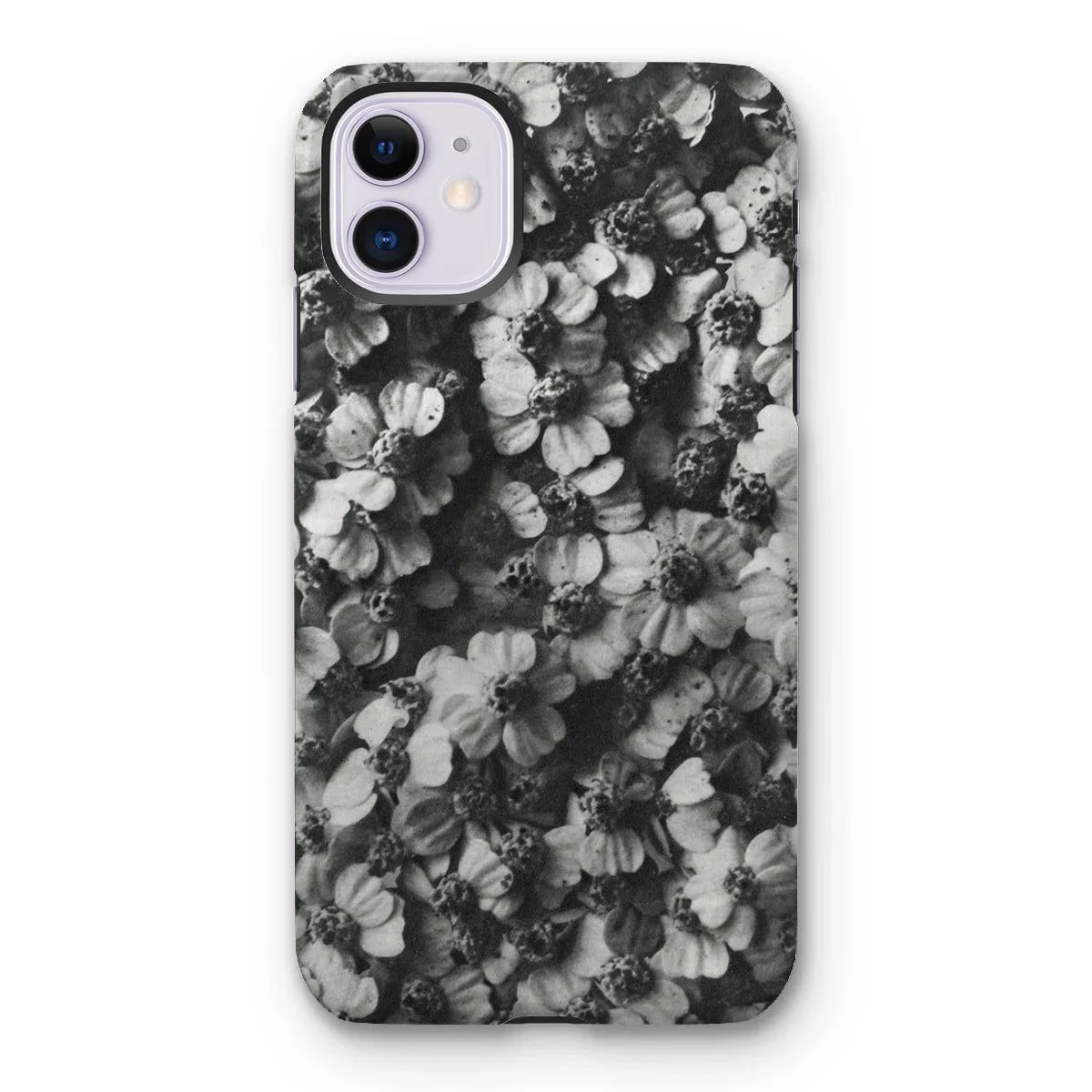 Achillea Millefolium (common Yarrow) - Karl Blossfeldt Iphone Case 11 / Matte Mobile Phone Cases