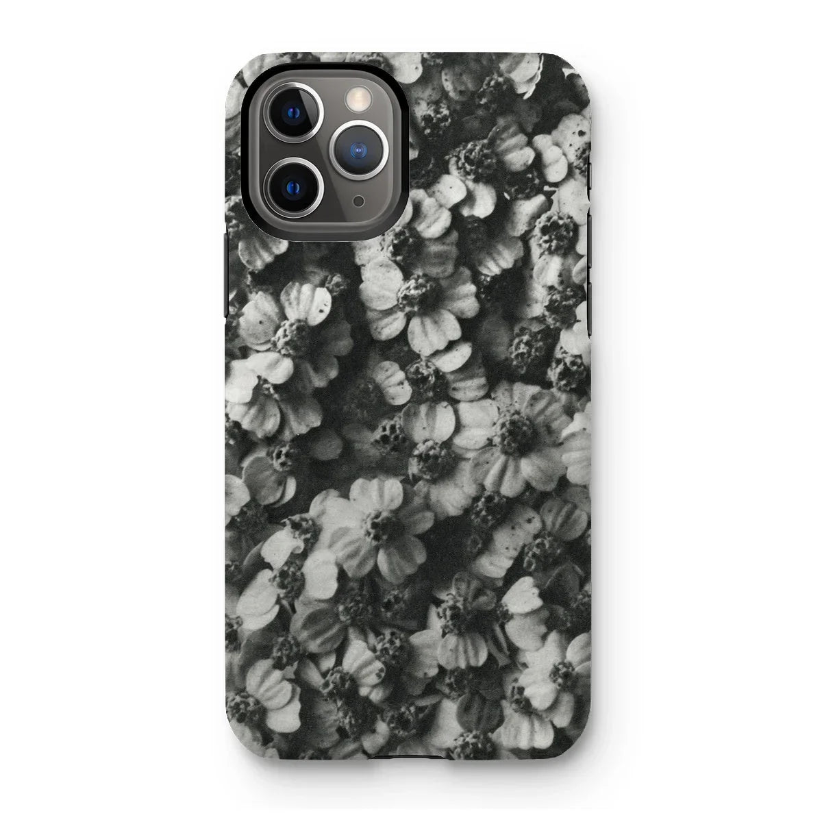 Achillea Millefolium (common Yarrow) - Karl Blossfeldt Iphone Case 11 Pro / Matte Mobile Phone Cases