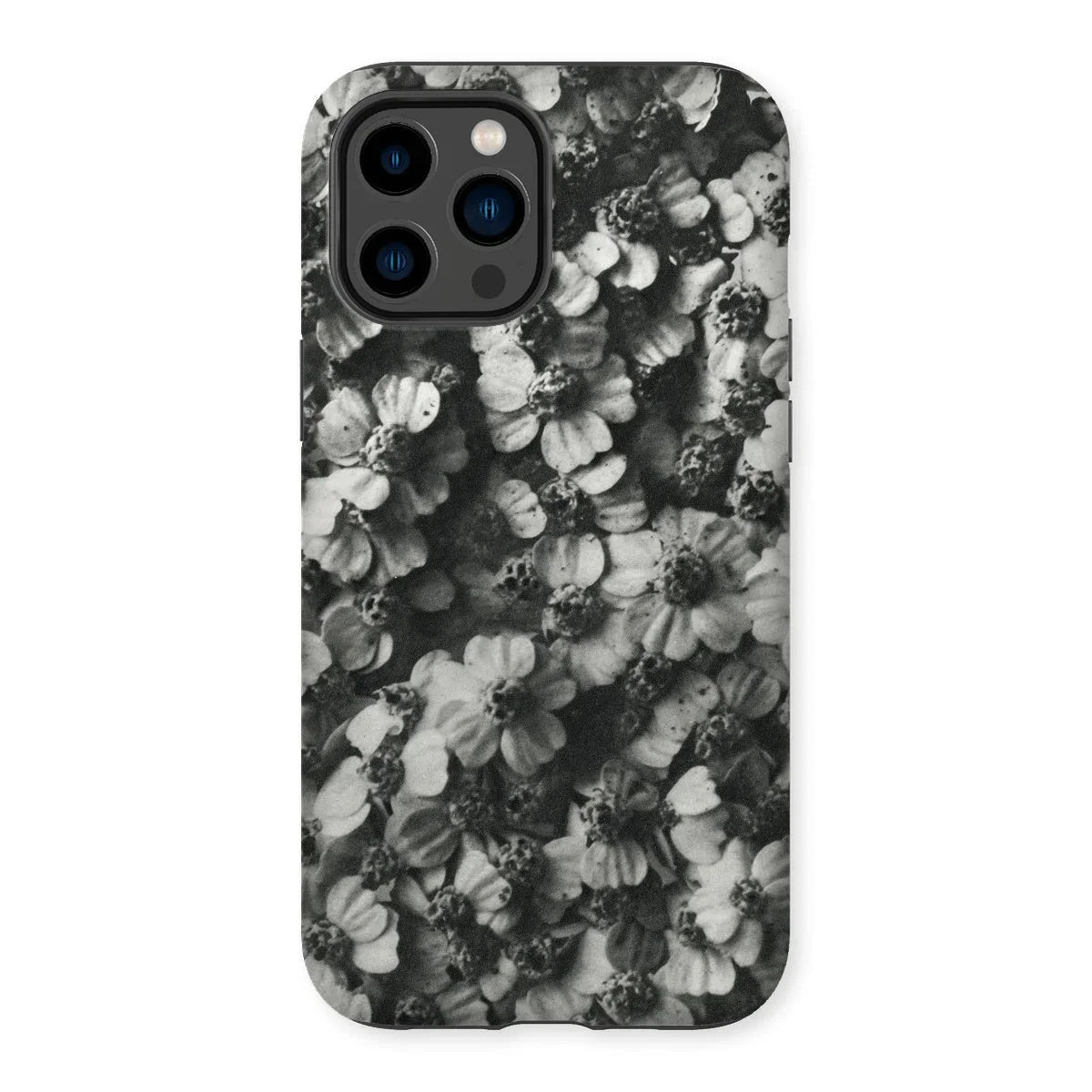 Achillea Millefolium (common Yarrow) - Karl Blossfeldt Iphone Case 14 Pro Max / Matte Mobile Phone Cases