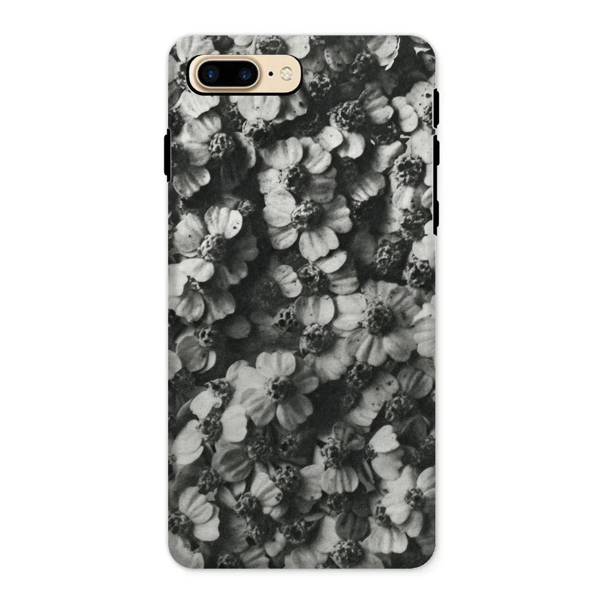 Achillea Millefolium (common Yarrow) - Karl Blossfeldt Iphone Case - 8 Plus / Matte