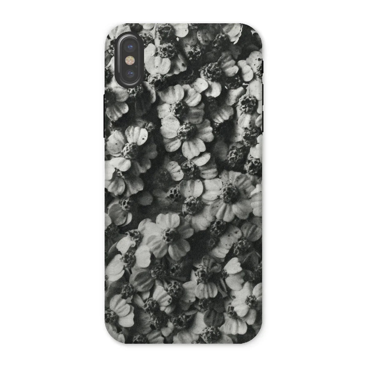 Achillea Millefolium (common Yarrow) - Karl Blossfeldt Iphone Case x / Matte Mobile Phone Cases