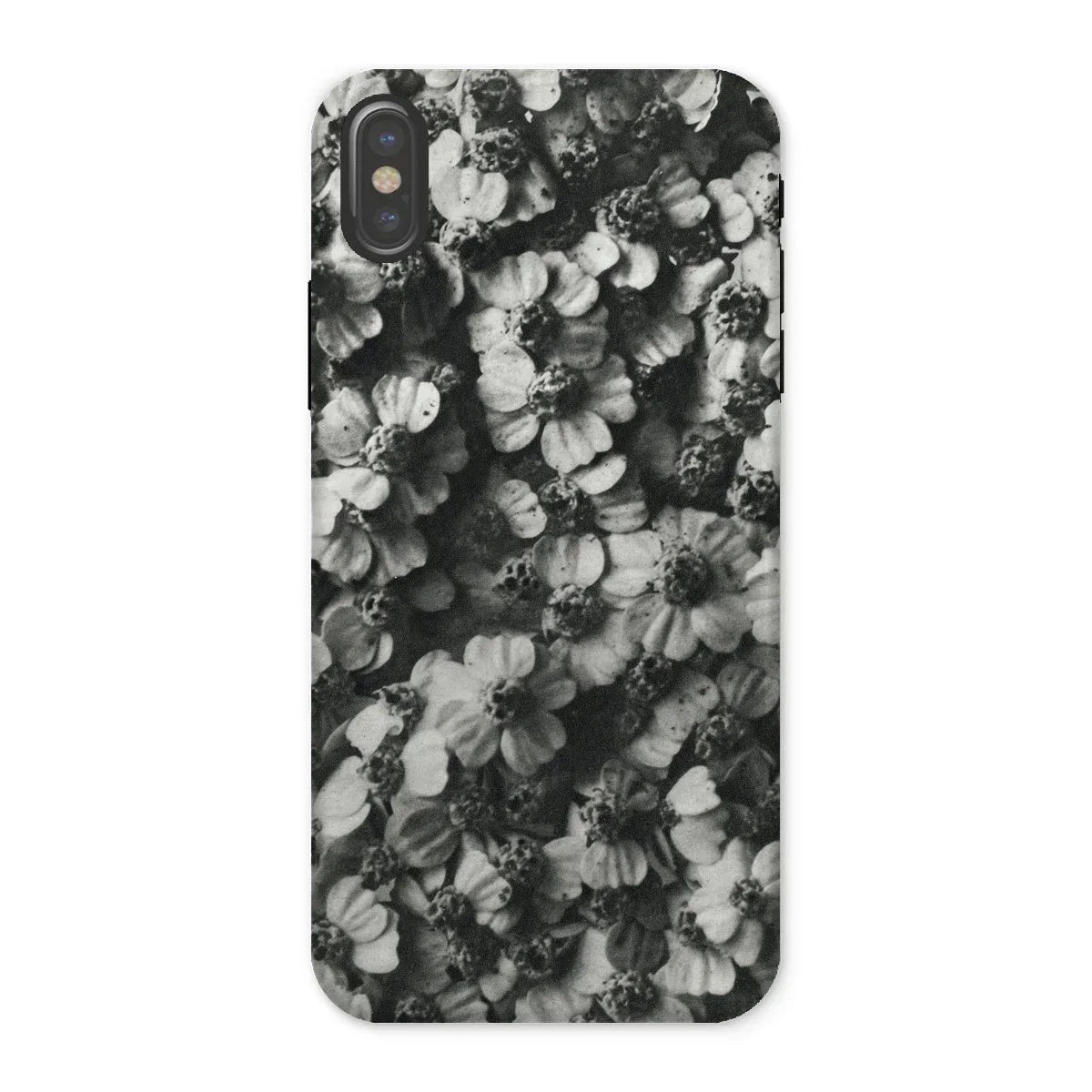 Achillea Millefolium (common Yarrow) - Karl Blossfeldt Iphone Case - x / Matte