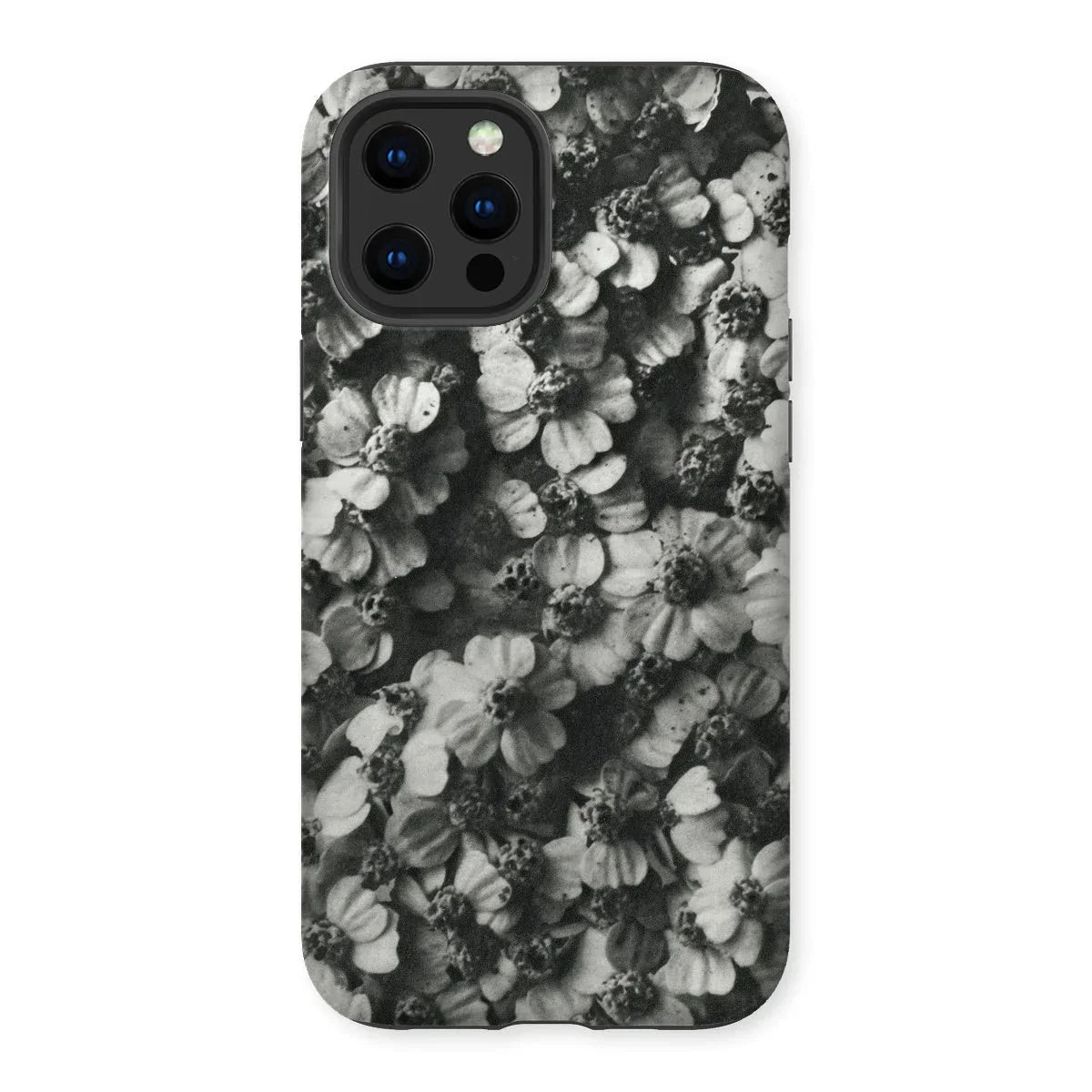 Achillea Millefolium (common Yarrow) - Karl Blossfeldt Iphone Case - 13 Pro Max / Matte