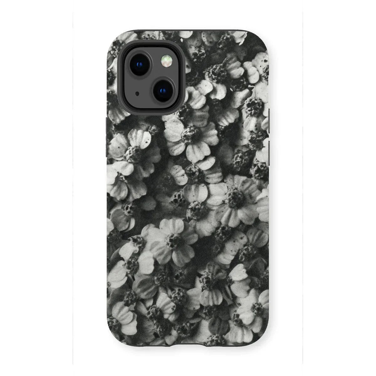 Achillea Millefolium (common Yarrow) - Karl Blossfeldt Iphone Case - 13 Mini / Matte