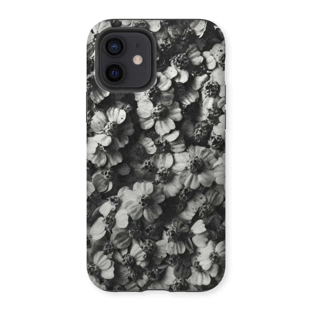 Achillea Millefolium (common Yarrow) - Karl Blossfeldt Iphone Case - 12 / Matte