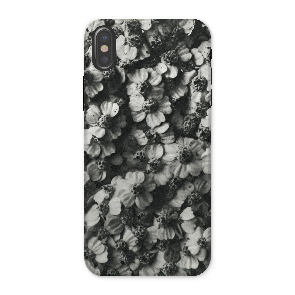 Achillea Millefolium (common Yarrow) Karl Blossfeldt Iphone Case, x / Matte, Phone Case Black White Floral Pattern Design