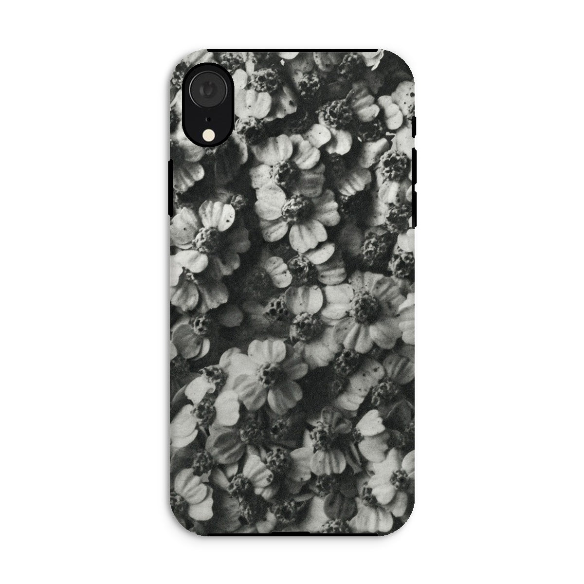 Achillea Millefolium (common Yarrow) Karl Blossfeldt Iphone Case, Xr / Matte, Smartphone Case Black White Floral Pattern Design