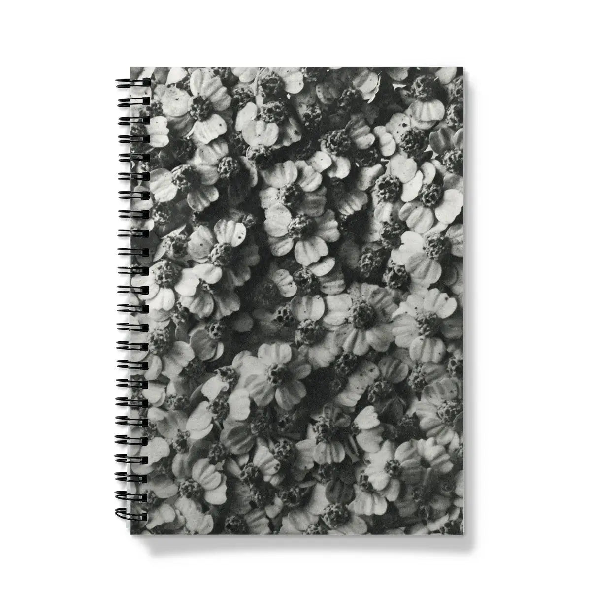 Achillea Millefolium (common Yarrow) - Karl Blossfeldt Notebook - Notebooks & Notepads - Aesthetic Art