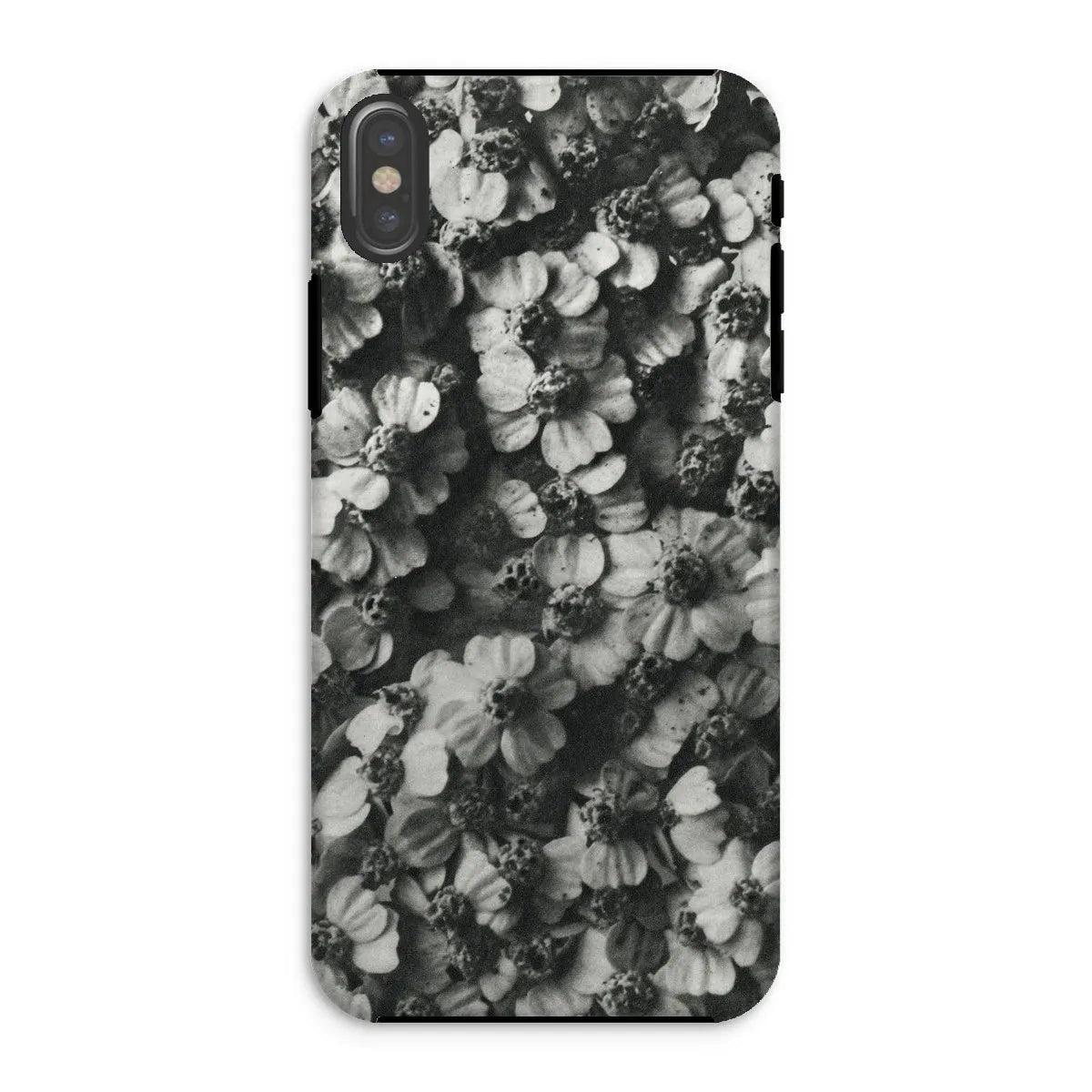 Achillea Millefolium (common Yarrow) By Karl Blossfeldt Tough Phone Case - Iphone Xs / Matte - Mobile Phone Cases