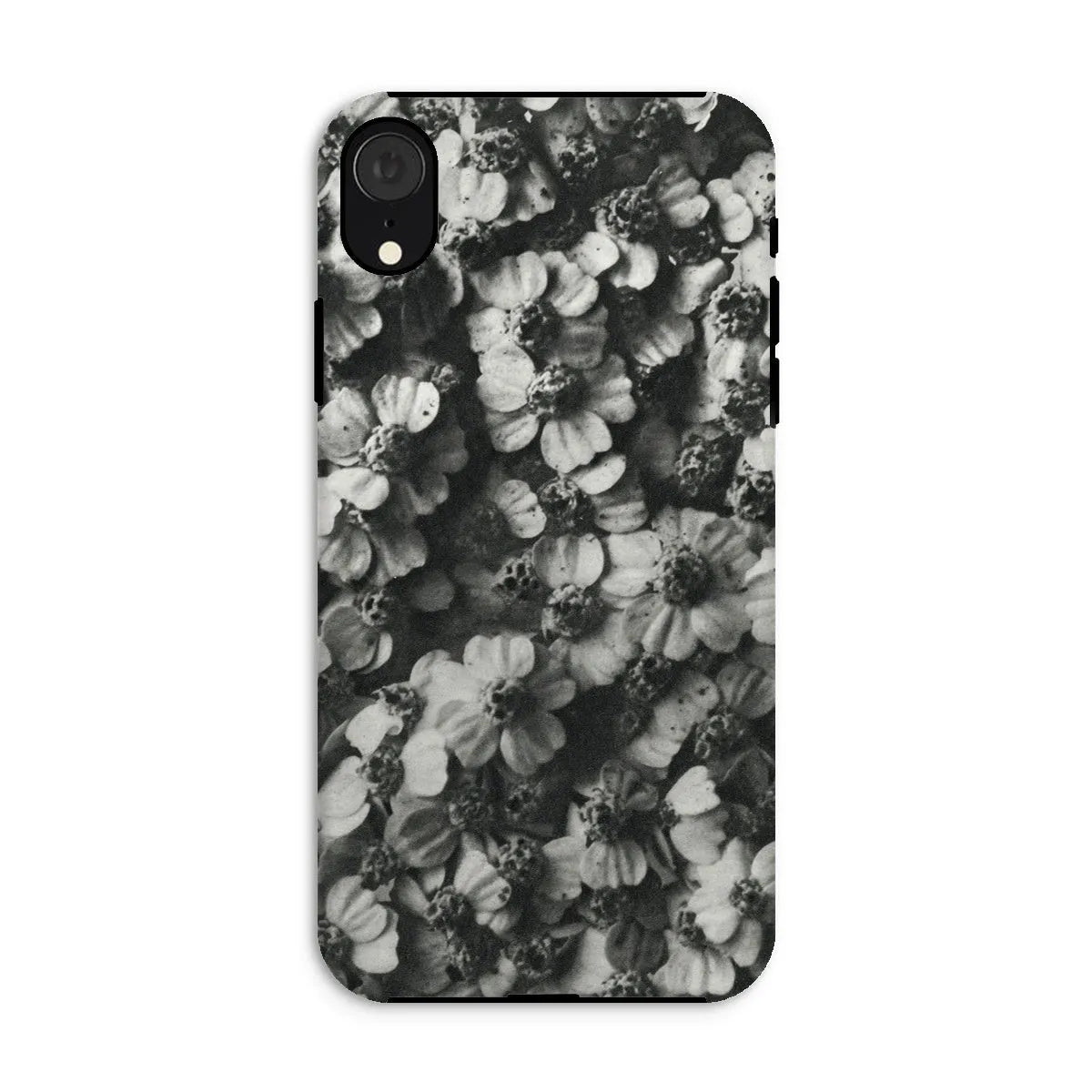 Achillea Millefolium (common Yarrow) By Karl Blossfeldt Tough Phone Case - Iphone Xr / Matte - Mobile Phone Cases