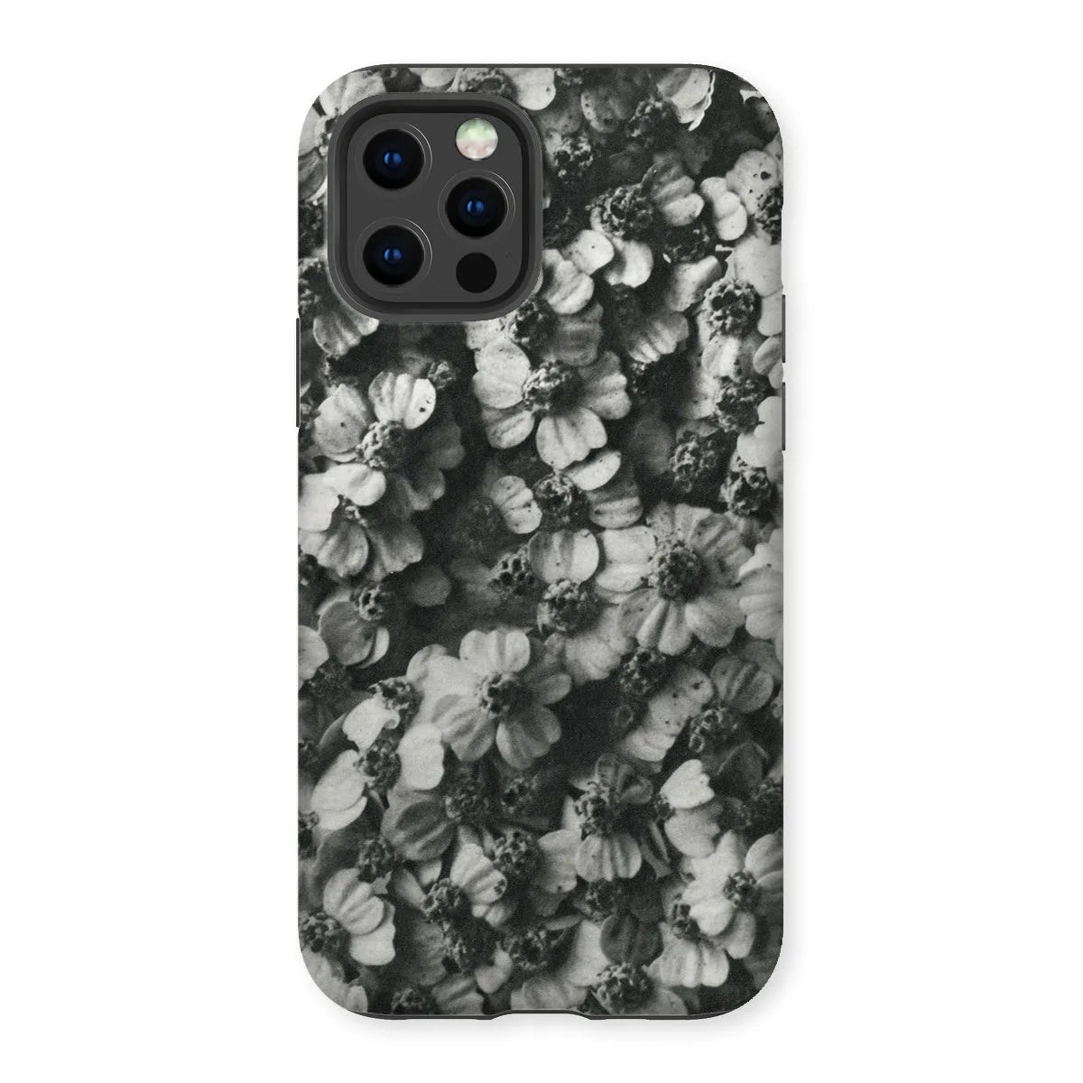 Achillea Millefolium (common Yarrow) By Karl Blossfeldt Tough Phone Case - Iphone 12 Pro / Matte - Mobile Phone Cases