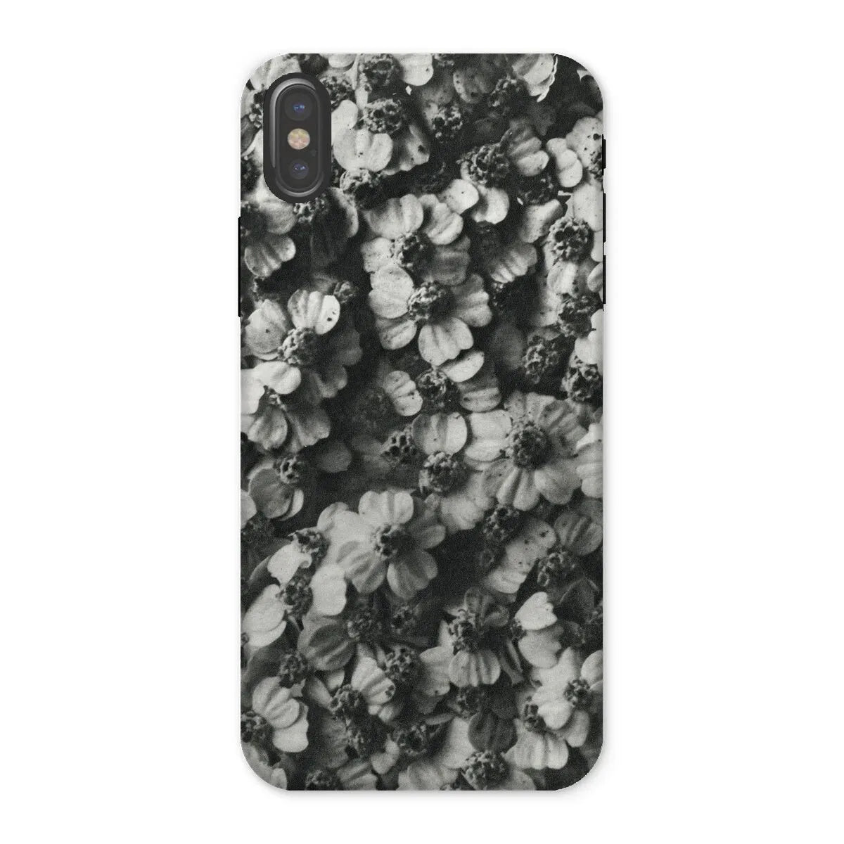 Achillea Millefolium (common Yarrow) By Karl Blossfeldt Tough Phone Case - Iphone x / Matte - Mobile Phone Cases