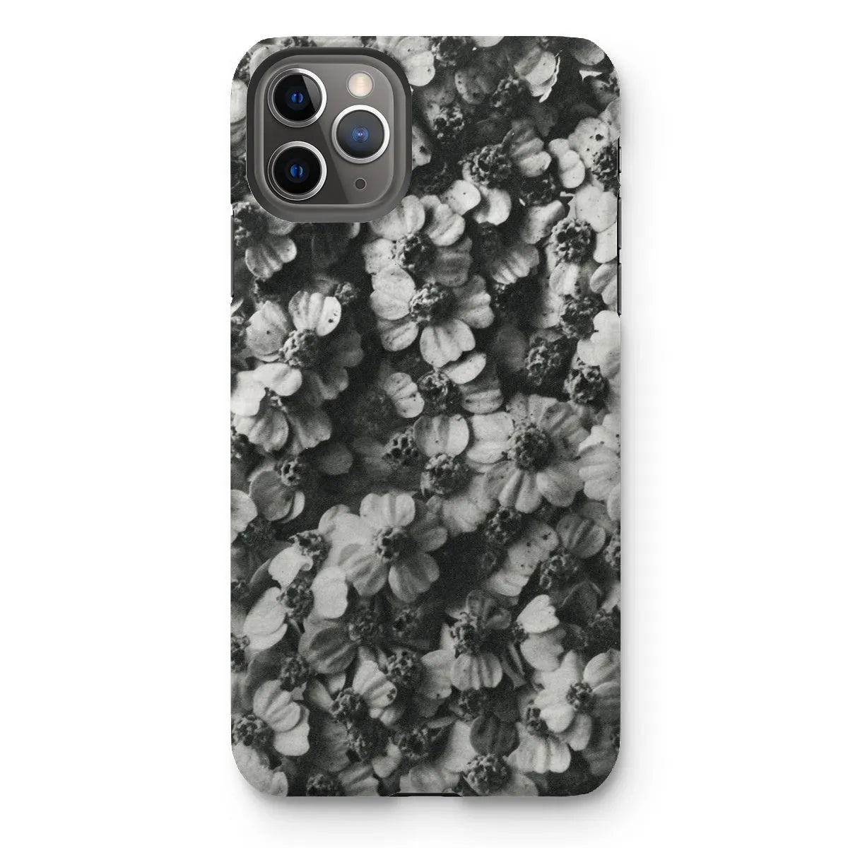 Achillea Millefolium (common Yarrow) By Karl Blossfeldt Tough Phone Case - Iphone 11 Pro Max / Matte - Mobile Phone