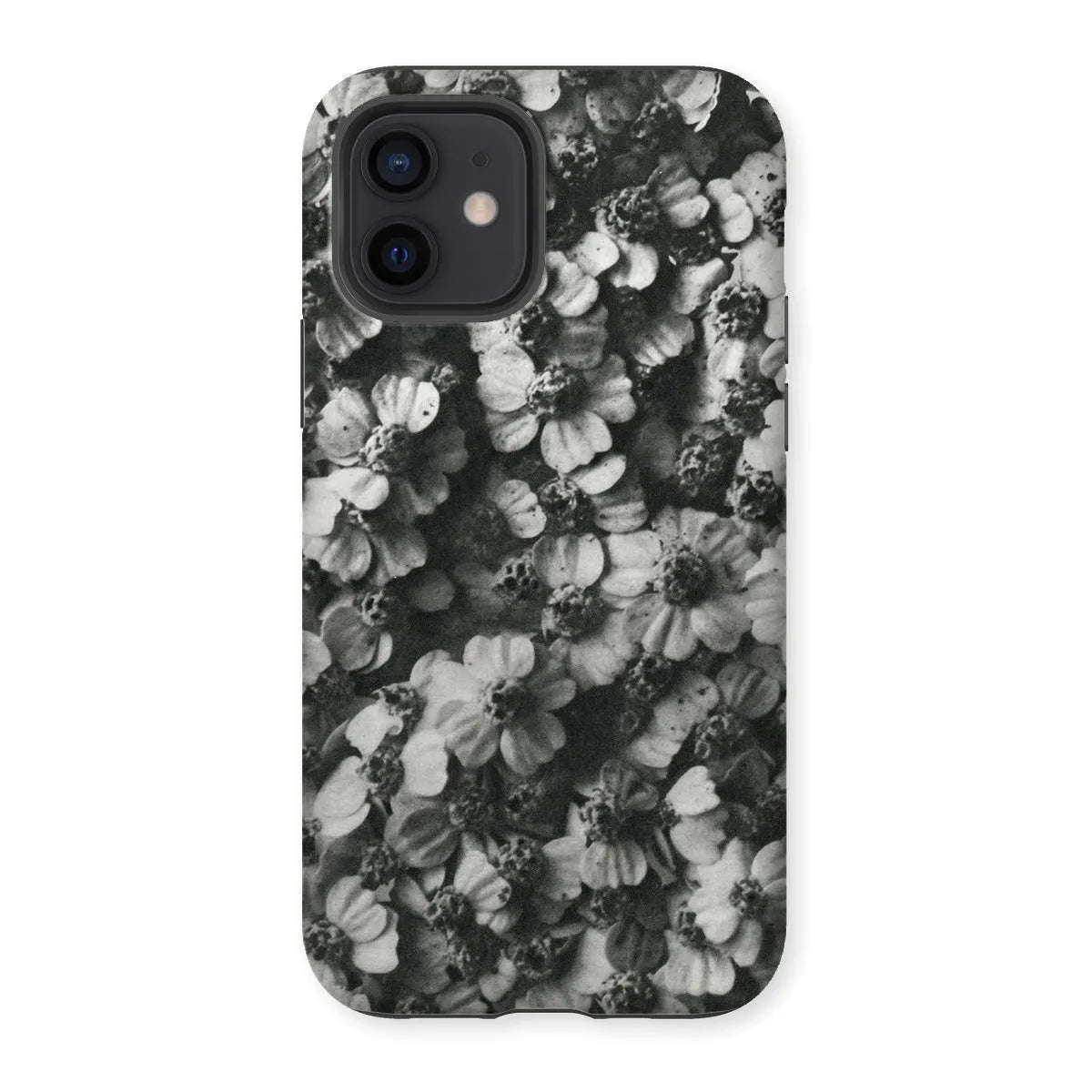 Achillea Millefolium (common Yarrow) By Karl Blossfeldt Tough Phone Case - Iphone 12 / Matte - Mobile Phone Cases