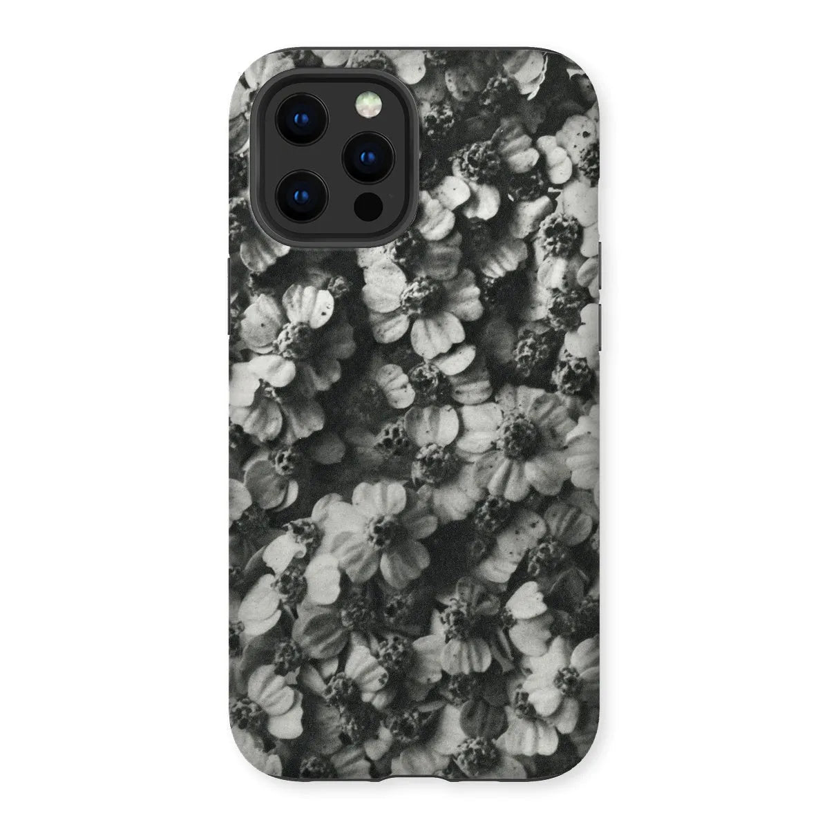 Achillea Millefolium (common Yarrow) By Karl Blossfeldt Tough Phone Case - Iphone 12 Pro Max / Matte - Mobile Phone