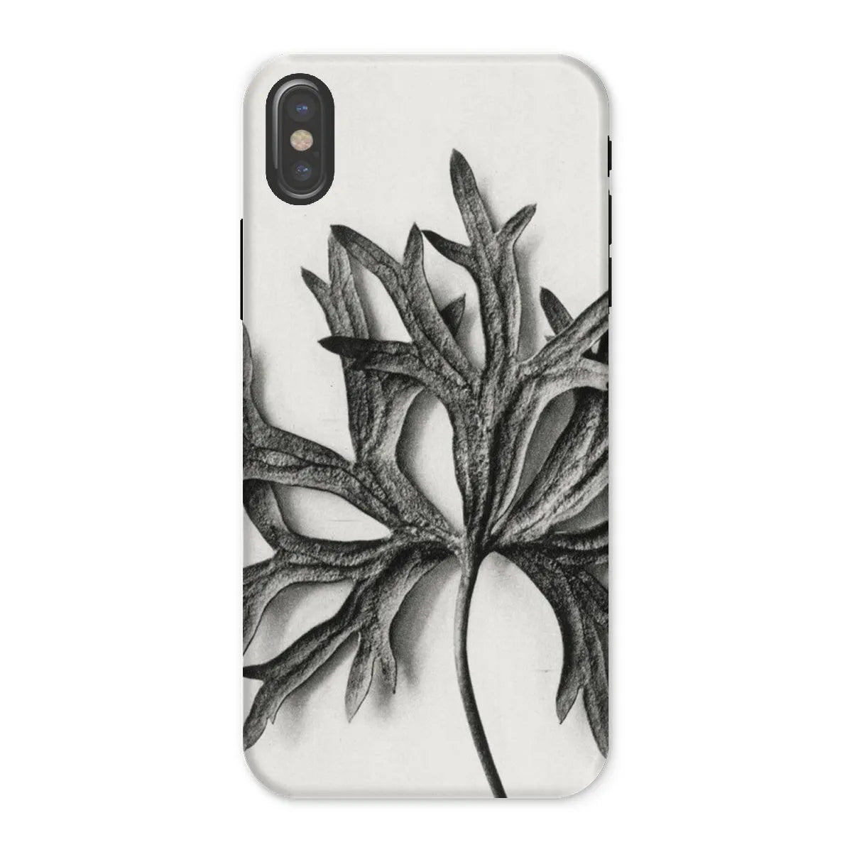 Aconitum Anthora (yellow Monkshood Leaf) - Karl Blossfeldt Tough Phone Case - Iphone x / Matte - Mobile Phone Cases