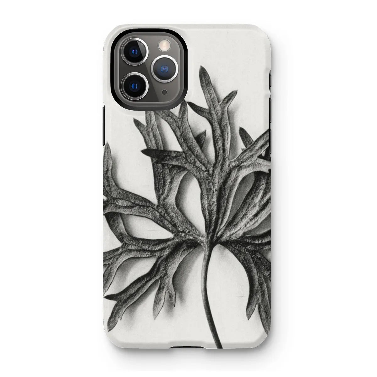 Aconitum Anthora (yellow Monkshood Leaf) - Karl Blossfeldt Tough Phone Case - Iphone 11 Pro / Matte - Mobile Phone