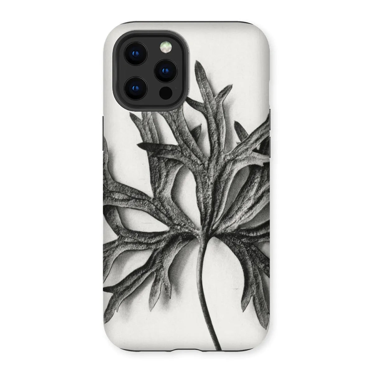 Aconitum Anthora (yellow Monkshood Leaf) - Karl Blossfeldt Tough Phone Case - Iphone 12 Pro Max / Matte - Mobile Phone