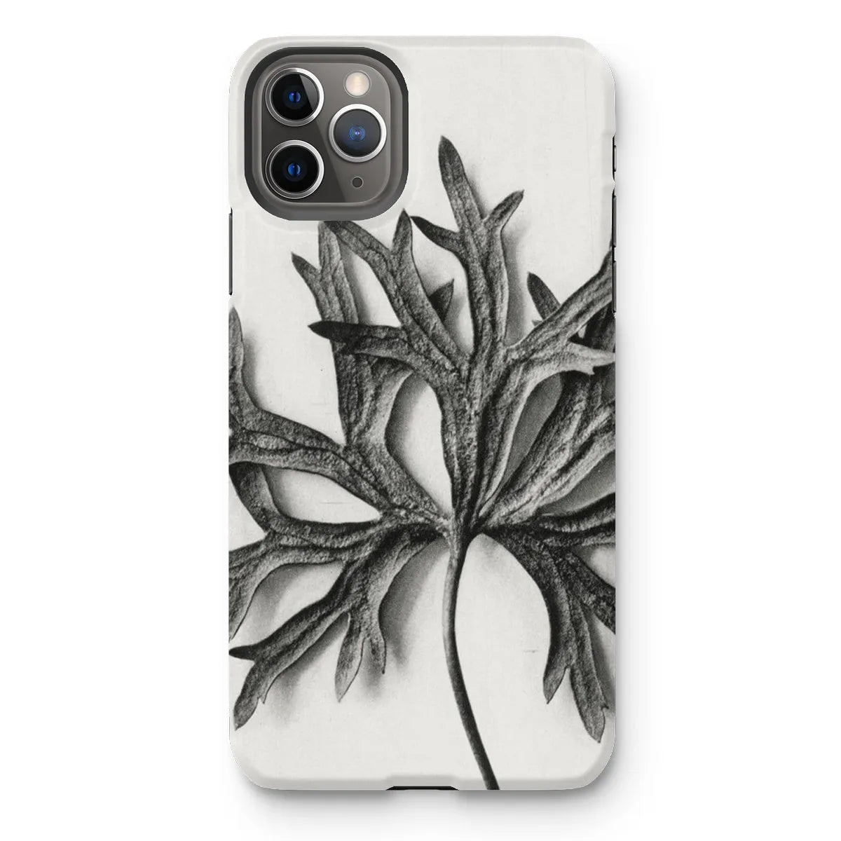 Aconitum Anthora (yellow Monkshood Leaf) - Karl Blossfeldt Tough Phone Case - Iphone 11 Pro Max / Matte - Mobile Phone