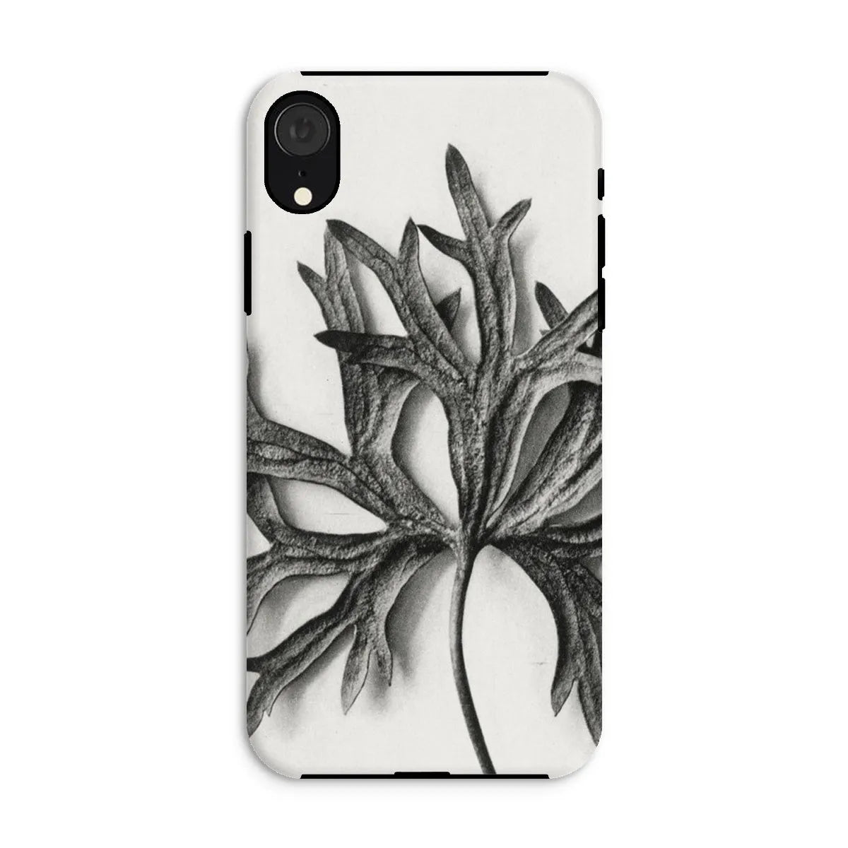 Aconitum Anthora (yellow Monkshood Leaf) By Karl Blossfeldt Tough Phone Case - Iphone Xr / Matte - Mobile Phone Cases