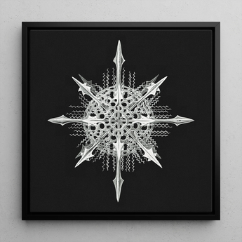 Actiniae - Ernst Haeckel Ocean Life Art Print / Canvas, 12x12’’ / 31x31cm / Black Frame, Posters Prints & Visual Artwork, Toby Leon