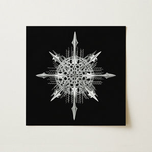 Actiniae - Ernst Haeckel Ocean Life Art Print / Canvas, 12x12’’ / 31x31cm / Unframed / no Border, Posters Prints & Visual Artwork, Toby Leon