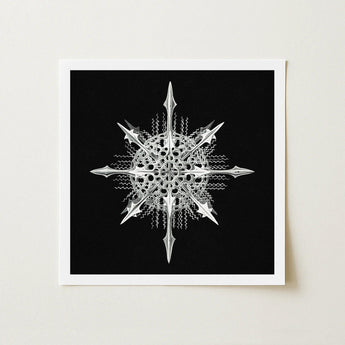 Actiniae - Ernst Haeckel Ocean Life Art Print / Canvas Silver Metallic Snowflake Intricate Symmetrical Design Haeckel’s, Hypnotic Marine