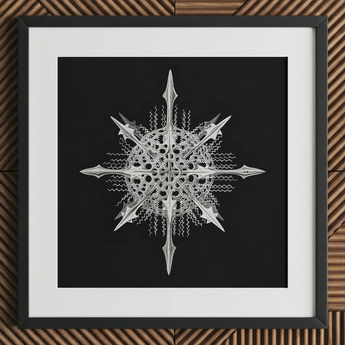 Actiniae - Ernst Haeckel Ocean Life Art Print / Canvas Detailed Silver Metallic Snowflake Artwork Intricate Symmetrical Patterns Ernst