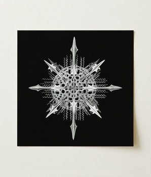 Silver Intricately Designed Snowflake Artwork Sharp Angular Points Ernst Haeckel’s Actiniae, Print, Hypnotic Marine Masterpiece