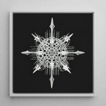 Actiniae - Ernst Haeckel Ocean Life Art Print / Canvas Silver Intricately Detailed Snowflake Artwork Sharp Symmetrical Spikes Ernst