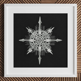 Actiniae - Ernst Haeckel Ocean Life Art Print / Canvas Silver Intricately Detailed Snowflake Artwork White Frame Ernst Haeckel’s Actiniae,