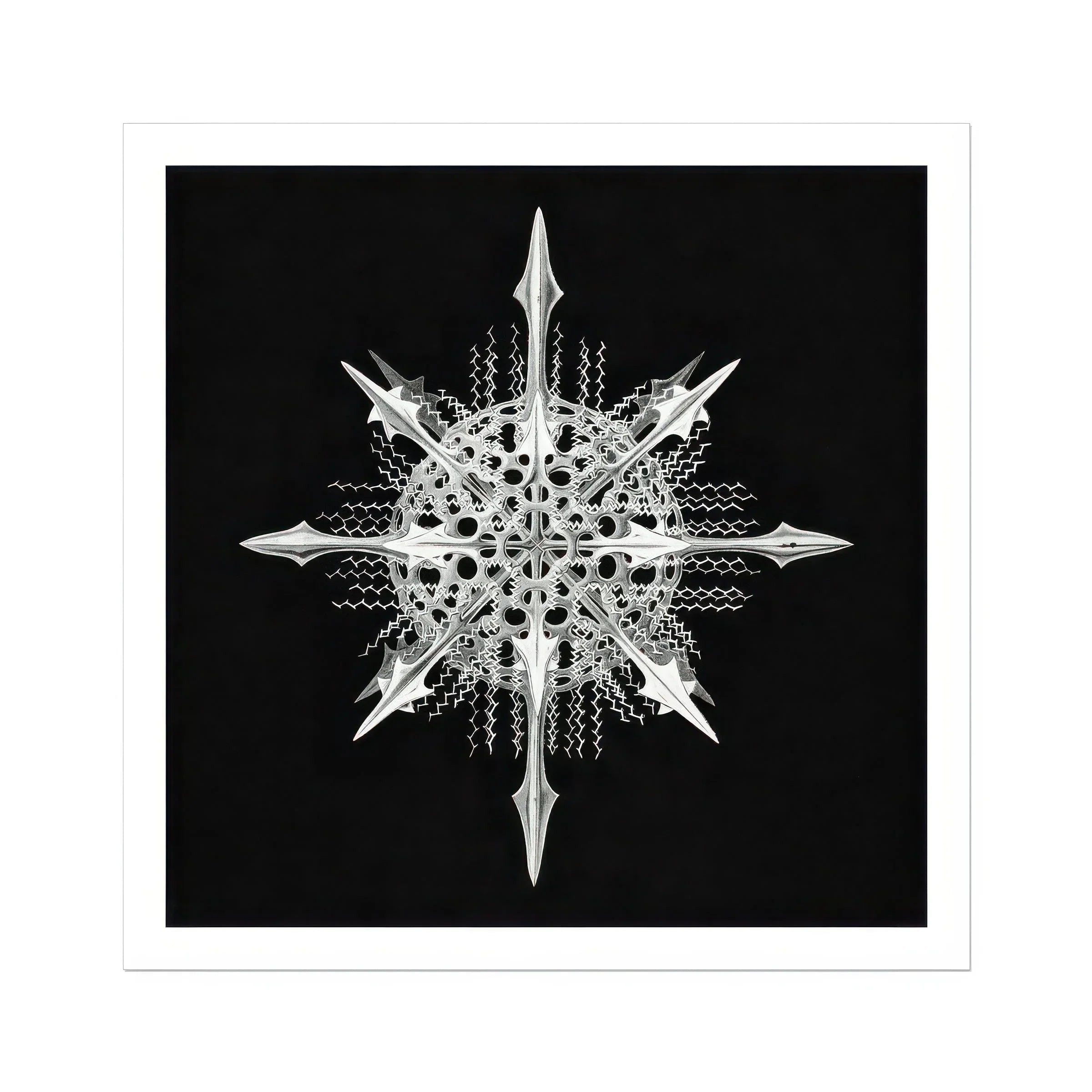 Actiniae Ernst Haeckel Ocean Life Art Print, Intricate White Snowflake Eight Pointed Spikes Delicate Crystalline